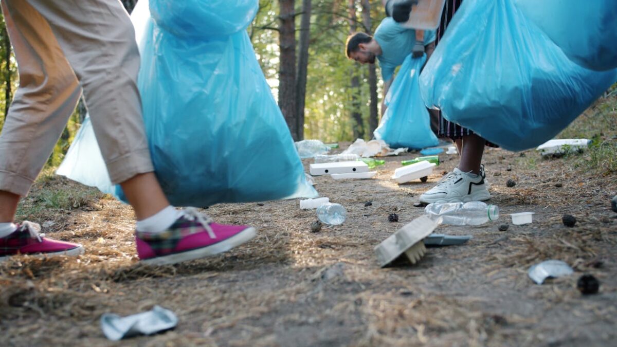 Volunteers picking up trash in a forest with blue bags on a sunny day.